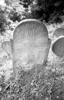 Irshava. Jewish cemetery.