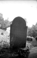Irshava. Jewish cemetery.