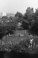 Irshava. Jewish cemetery.