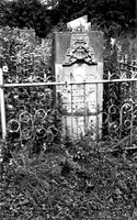 Izjaslav. New jewish cemetery.