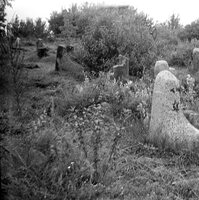 Chudnov. Jewish cemetery.