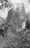 Dericheno. Jewish cemetery.