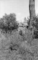 Dericheno. Jewish cemetery.