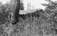 Dericheno. Jewish cemetery.