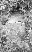 Dericheno. Jewish cemetery.