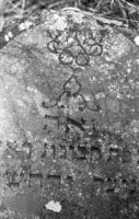 Dokshitsy. Jewish cemetery.