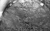 Dokshitsy. Jewish cemetery.