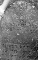 Dokshitsy. Jewish cemetery.