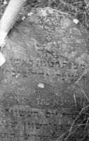 Dokshitsy. Jewish cemetery.