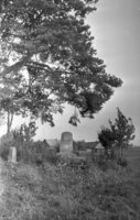 Dolginovo. Jewish cemetery.