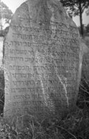 Dolginovo. Jewish cemetery.