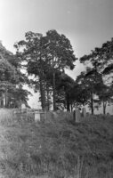 Dolginovo. Jewish cemetery.