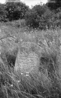 Druja. Jewish cemetery.