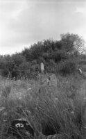 Druja. Jewish cemetery.