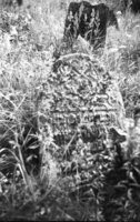Druja. Jewish cemetery.