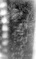 Druja. Jewish cemetery.