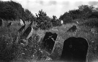 Druja. Jewish cemetery.