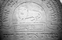 Hust. Jewish cemetery.