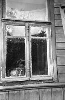 Lepel'. Wooden houses.