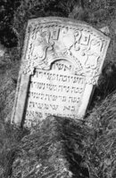 Lipkany. Jewish cemetery. Tombstone No. 8, 1879.
