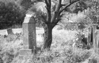 Lipkany. Jewish cemetery. Tombstone No. 14.