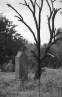 Lipkany. Jewish cemetery. Tombstone No. 14.