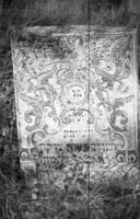 Lipkany. Jewish cemetery. Tombstone No. 14.