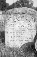 Lipkany. Jewish cemetery.