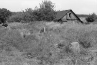 Molchad'. Jewish cemetery.
