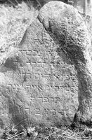 Molchad'. Jewish cemetery.