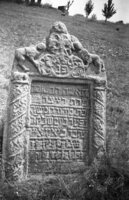 Murafa. Jewish cemetery.