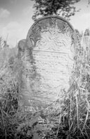 Murafa. Jewish cemetery.