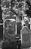 Storozhinets. Jewish cemetery. [picture].