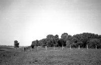Sudilkov. Jewish cemetery. Fencing