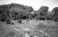Sudilkov. Jewish cemetery.