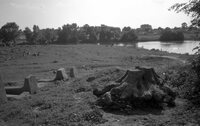 Sudilkov. Jewish cemetery.