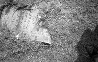 Sudilkov. Jewish cemetery.