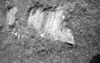 Sudilkov. Jewish cemetery.