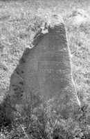 Timkovichi. Jewish cemetery.