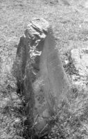 Timkovichi. Jewish cemetery.