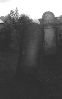 Rahov. Jewish cemetery.