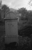 Rahov. Jewish cemetery.