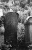 Rahov. Jewish cemetery. [picture].