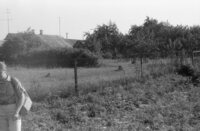 Rozhanka. Place where Jewish cemetery was situated.