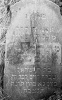 Schuchin. Jewish cemetery. Tombstone.