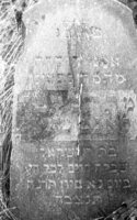 Schuchin. Jewish cemetery. Tombstone.