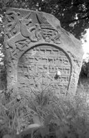 Shapitovka. Jewish cemetery.
