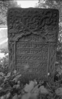 Shapitovka. Jewish cemetery.