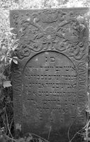 Shapitovka. Jewish cemetery.