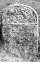 Timkovichi. Jewish cemetery.
